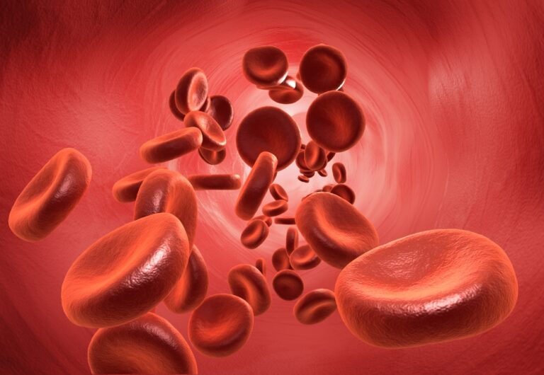 Blood cells flowing through an artery.